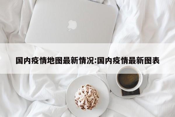 国内疫情地图最新情况:国内疫情最新图表
