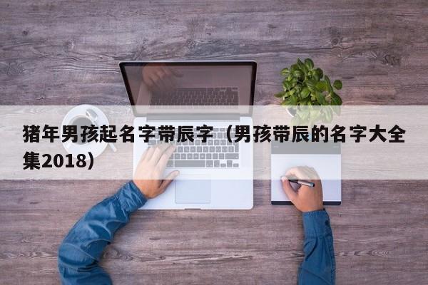 猪年男孩起名字带辰字（男孩带辰的名字大全集2018）
