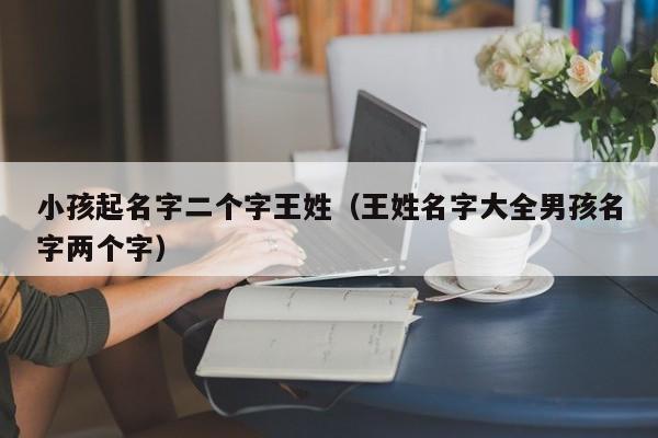 小孩起名字二个字王姓（王姓名字大全男孩名字两个字）