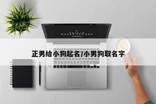 正男给小狗起名/小男狗取名字