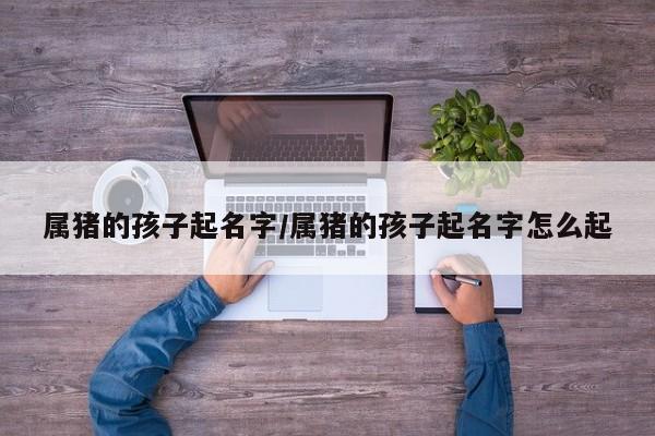 属猪的孩子起名字/属猪的孩子起名字怎么起