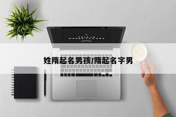 姓隋起名男孩/隋起名字男