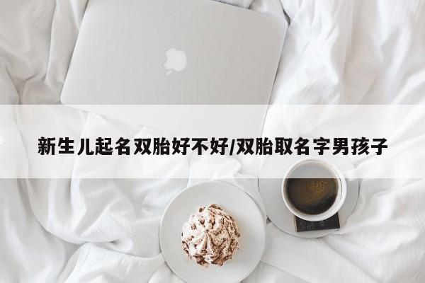 新生儿起名双胎好不好/双胎取名字男孩子