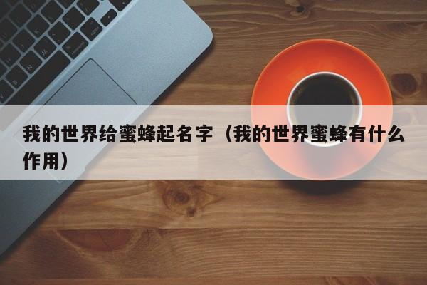 我的世界给蜜蜂起名字（我的世界蜜蜂有什么作用）