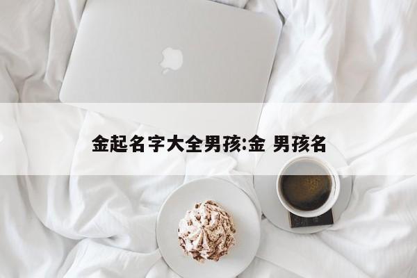 金起名字大全男孩:金 男孩名