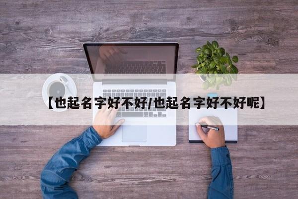 【也起名字好不好/也起名字好不好呢】