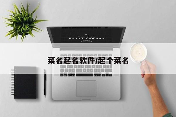 菜名起名软件/起个菜名