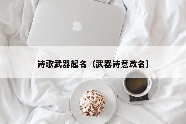 诗歌武器起名（武器诗意改名）