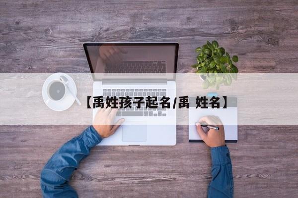 【禹姓孩子起名/禹 姓名】